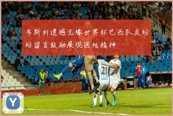 韦斯利遗憾无缘世界杯巴西队友纷纷留言鼓励展现团结精神